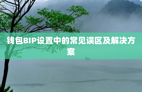 钱包BIP设置中的常见误区及解决方案