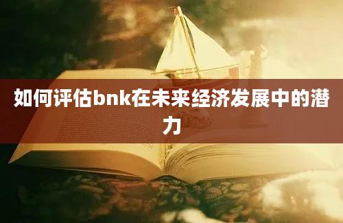 如何评估bnk在未来经济发展中的潜力