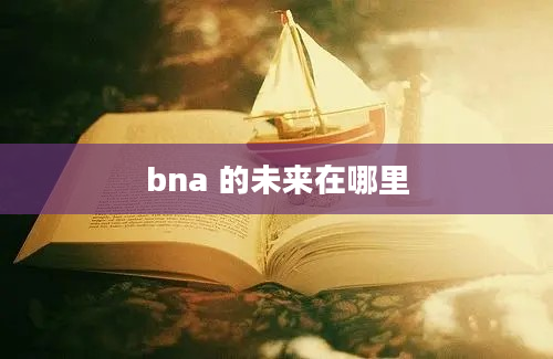 bna 的未来在哪里