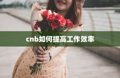 cnb如何提高工作效率