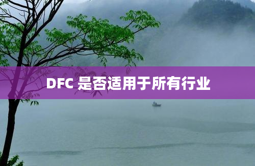 DFC 是否适用于所有行业