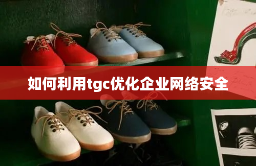 如何利用tgc优化企业网络安全