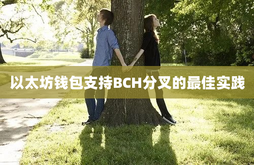 以太坊钱包支持BCH分叉的最佳实践