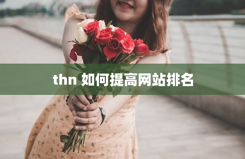 thn 如何提高网站排名