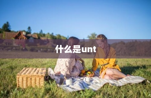 什么是unt