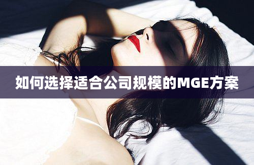 如何选择适合公司规模的MGE方案