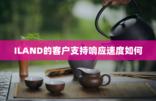 ILAND的客户支持响应速度如何