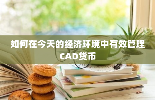 如何在今天的经济环境中有效管理CAD货币