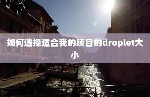 如何选择适合我的项目的droplet大小