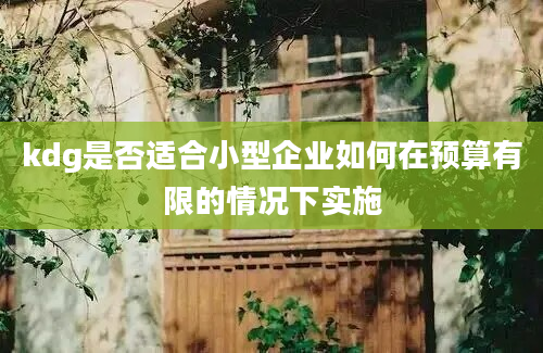 kdg是否适合小型企业如何在预算有限的情况下实施