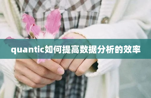 quantic如何提高数据分析的效率