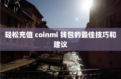 轻松充值 coinmi 钱包的最佳技巧和建议