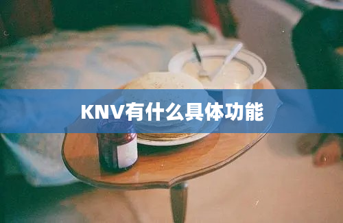 KNV有什么具体功能