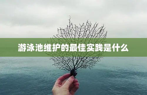 游泳池维护的最佳实践是什么