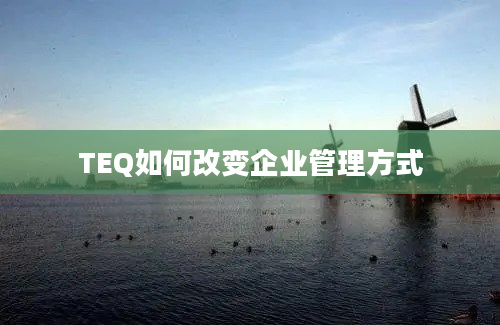 TEQ如何改变企业管理方式