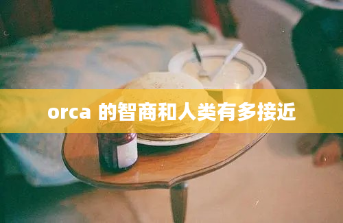 orca 的智商和人类有多接近