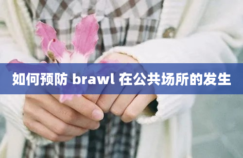 如何预防 brawl 在公共场所的发生