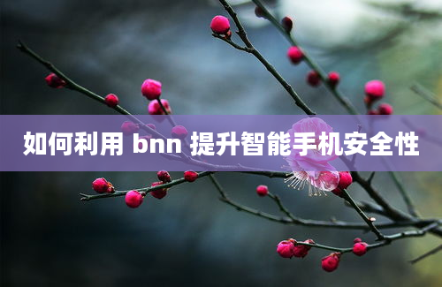 如何利用 bnn 提升智能手机安全性