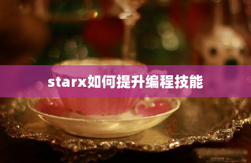 starx如何提升编程技能