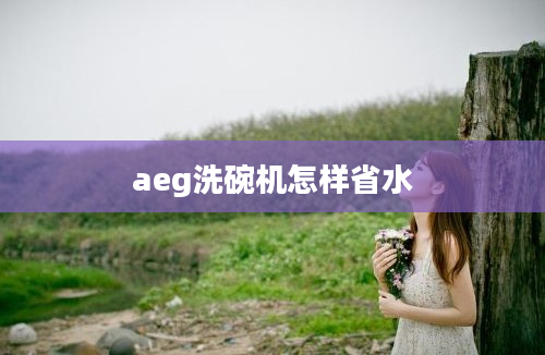 aeg洗碗机怎样省水