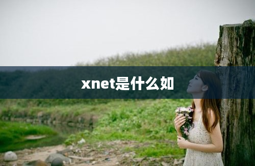 xnet是什么如