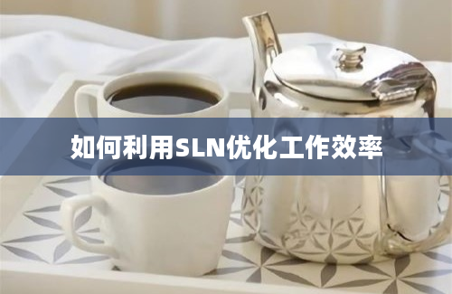 如何利用SLN优化工作效率