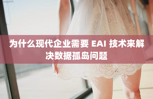 为什么现代企业需要 EAI 技术来解决数据孤岛问题