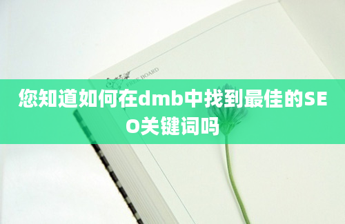 您知道如何在dmb中找到最佳的SEO关键词吗