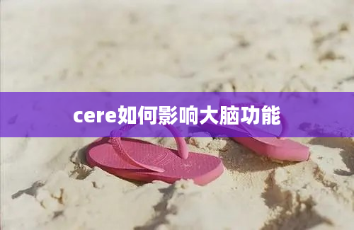 cere如何影响大脑功能