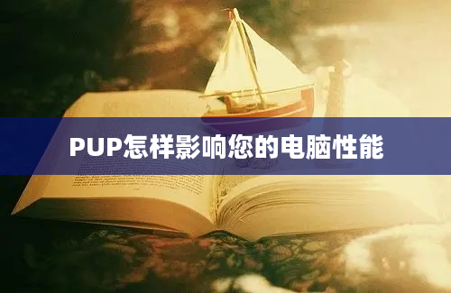 PUP怎样影响您的电脑性能