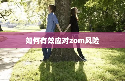 如何有效应对zom风险