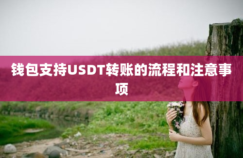 钱包支持USDT转账的流程和注意事项