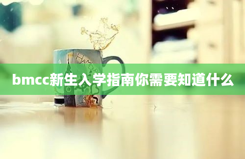 bmcc新生入学指南你需要知道什么