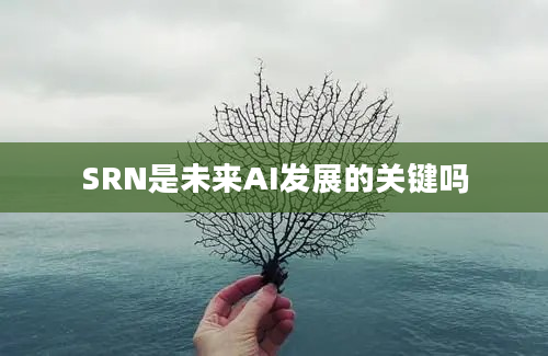 SRN是未来AI发展的关键吗