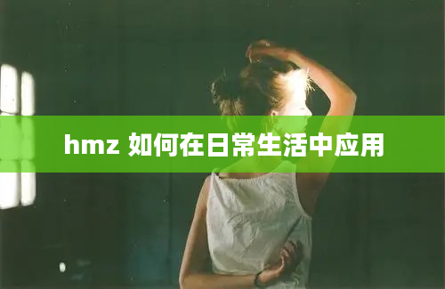 hmz 如何在日常生活中应用