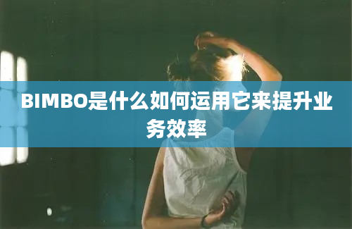 BIMBO是什么如何运用它来提升业务效率