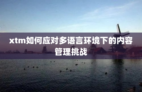 xtm如何应对多语言环境下的内容管理挑战