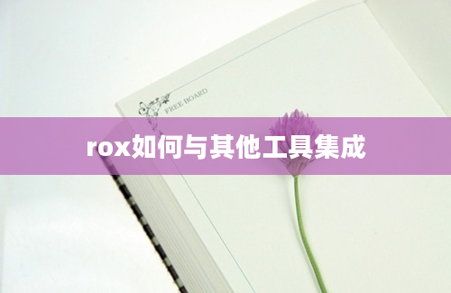 rox如何与其他工具集成