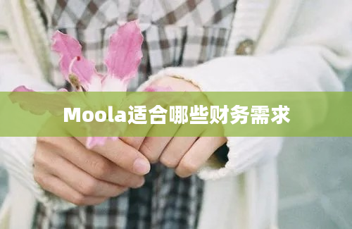 Moola适合哪些财务需求