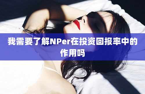 我需要了解NPer在投资回报率中的作用吗