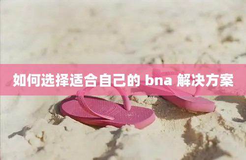 如何选择适合自己的 bna 解决方案