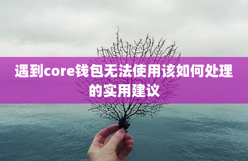 遇到core钱包无法使用该如何处理的实用建议