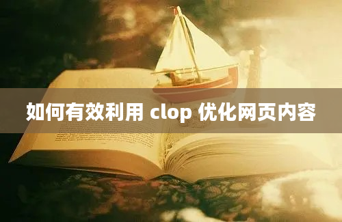 如何有效利用 clop 优化网页内容