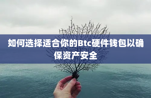 如何选择适合你的Btc硬件钱包以确保资产安全