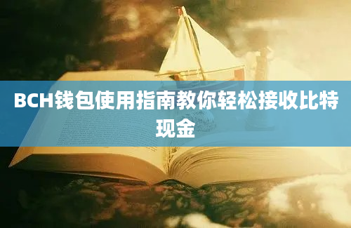 BCH钱包使用指南教你轻松接收比特现金