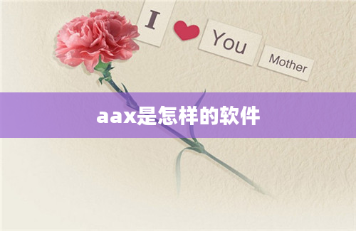 aax是怎样的软件