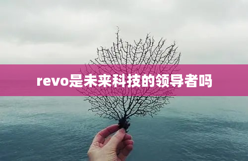 revo是未来科技的领导者吗