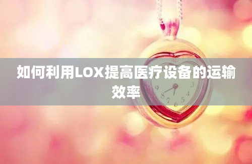 如何利用LOX提高医疗设备的运输效率