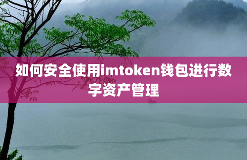 如何安全使用imtoken钱包进行数字资产管理