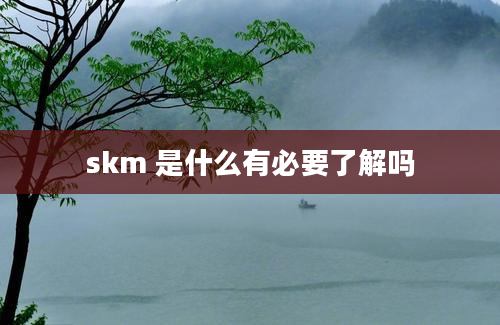 skm 是什么有必要了解吗